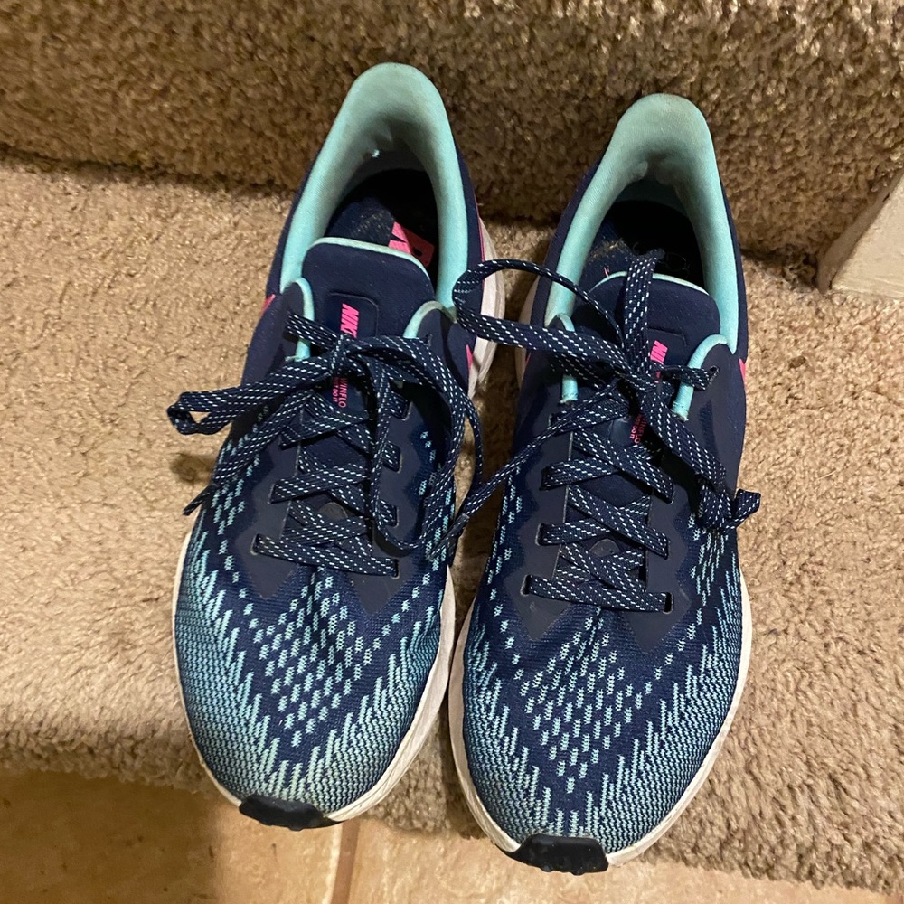 Nike Winflo 6 Running Shoe
